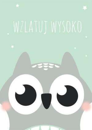 Sowa miętowe tło - plakat 40x60 cm