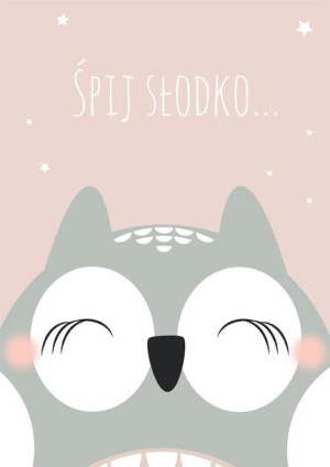 Śpiąca sowa różowe tło - plakat 60x80 cm