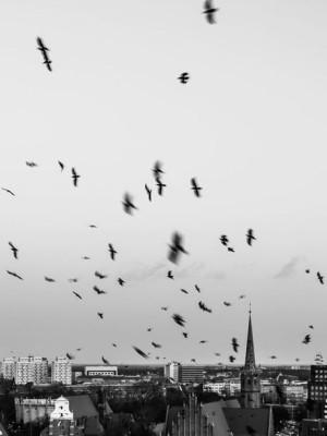 Wrocław, Polska - plakat 70x100 cm