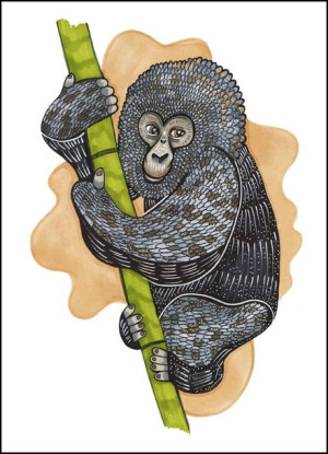 Monkey - plakat 60x80 cm