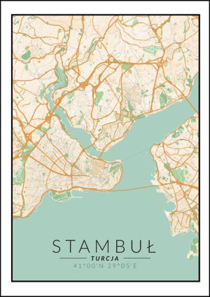 Stambuł mapa kolorowa - plakat 29,7x42 cm