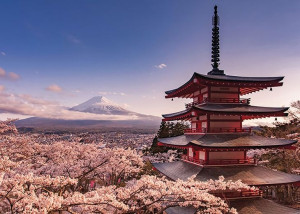 Góra Fuji i Kwitnące Wiśnie - plakat 140x100 cm