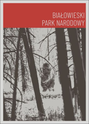 Parki Narodowe, Bialowieża red - plakat 21x29,7 cm