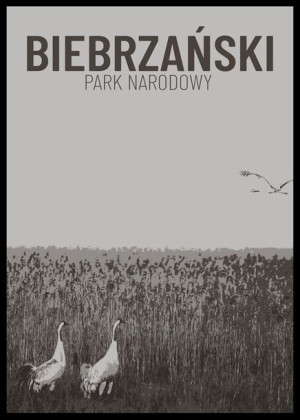 Parki Narodowe, Biebrza b&w - plakat 21x29,7 cm