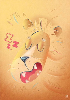 Śpiący lew - plakat 50x70 cm