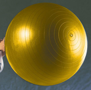 Everlast Stability Ball - Piłka Fitness Do Ćwiczeń 55 Cm