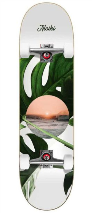 Aloiki deskorolka | 7.6" Coast
