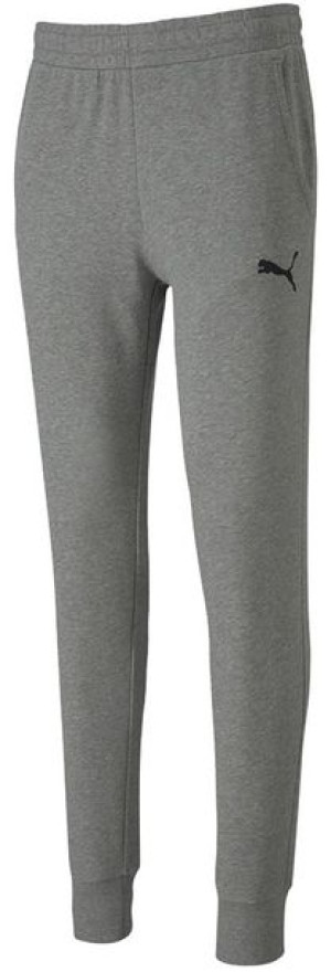 Spodnie męskie Puma teamGoal 23 Casuals Pants szare 656582 33