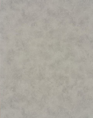 Wykładzina Pcv Linoleum Bonus 250Cm Jasny Beton