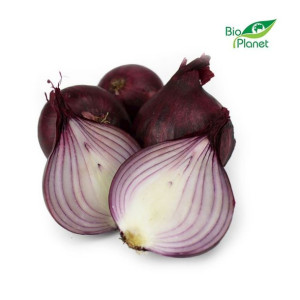 Lumarko Cebula Czerwona Świeża Bio (Polska) (Około 1,00 Kg)!