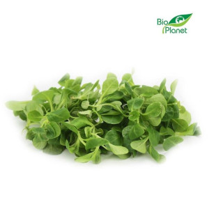 Lumarko Roszponka Niemyta Świeża Bio (Około 0,10 Kg)!