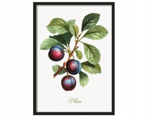 Obraz w ramie Plakat Vintage Retro obrazek DUŻY