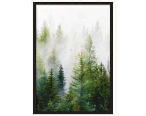 Plakat w ramce Obrazek Zielony Las we Mgle XXL