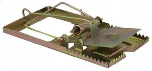 Gardenline Pułapka Na Myszy Metal 9x5 Cm
