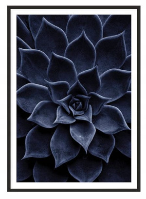 OBRAZ, PLAKAT W RAMIE 53x73 cm Liście P2011