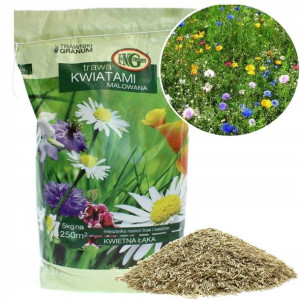 Granum Trawa Kwiatami Malowana 5kg Łąka Kwietna Kwiatowa