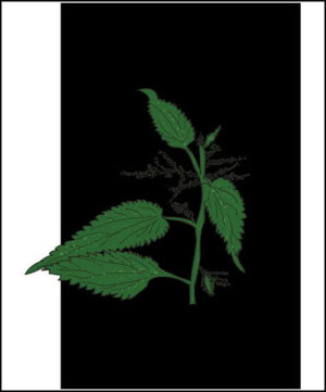 Pokrzywa nocą - plakat 50x70 cm