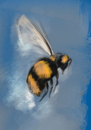 Pszczoła - plakat 29,7x42 cm