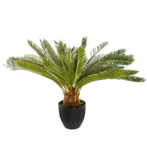 Drzewko palmowe w doniczce 68 cm