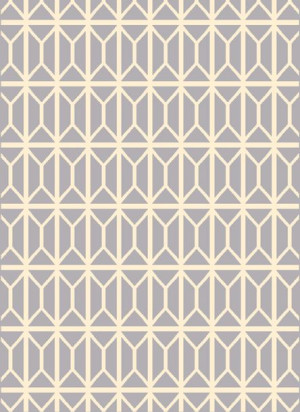Dywan Agnella Funky Top Isa Grey 160X220