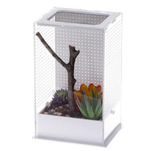 Repti-zoo Mantis Box M - Terrarium Akrylowe Dla Modliszek