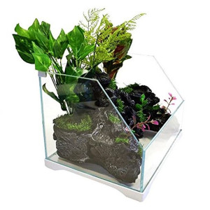 Sunsun Aqua Paludarium 30l - Zestaw Paludarium