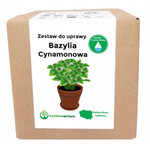 Zestaw do Uprawy BAZYLIA cynamonowa 290 nasion X