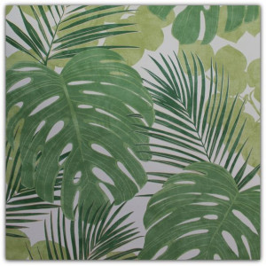 Tapety Tapeta Liście Monstera Dżungla Zielona
