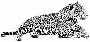 NAKLEJKA na ścianę DZIKI KOT GEPARD 98x44cm