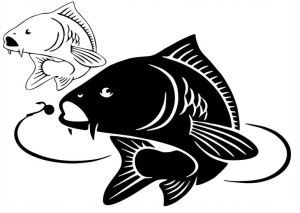Naklejka Hobby Łowienie Karp Duża 65x91cm