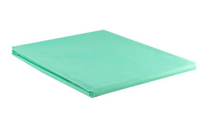Prześcieradło Bawełna 100% 200x220 Kolor Miętowy