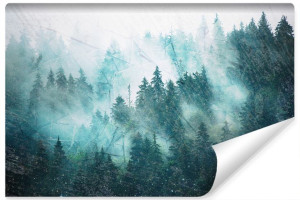Fototapeta Ścienna do Salonu LAS WE MGLE Pejzaż Efekt 3D 405cm x 270cm