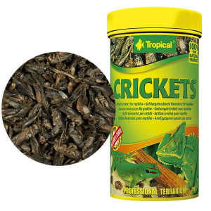 Tropical Crickets 250ml/25g Świerszcze 11194