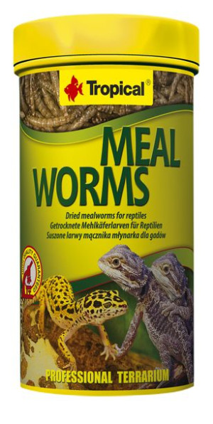 Tropical Meal Worms 250ml/30g 11184