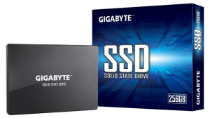 Dysk Gigabyte GP-GSTFS31256GTND (256 GB   2.5"  SATA III)