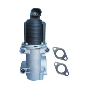 Zawór spalin EGR do Fiat Lancia 55204236 71793025