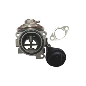 Zawór EGR Skoda Audi VW Seat 038131501M