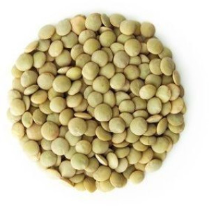 Lumarko Soczewica Zielona Bio (Surowiec) (25 Kg) 4!