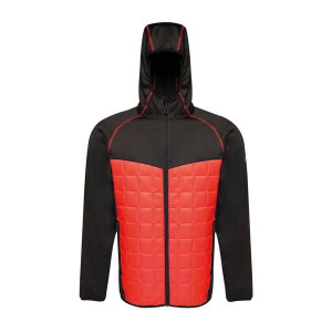 Kurtka Męska Sportowa Regatta Modular Thermal [TRA517 92F]