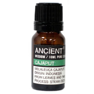 Ancient Olejek Eteryczny 10ml - Kajeput