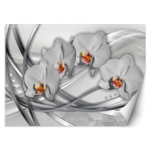 Fototapeta Abstrakcyjne orchidee 200x140