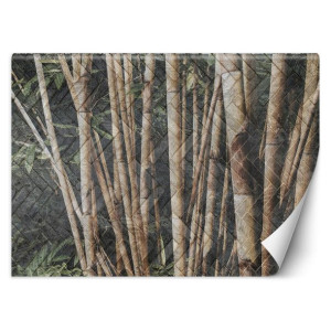 Fototapeta Bambusowy las 400x280