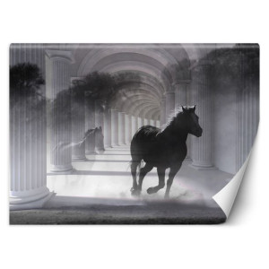 Fototapeta Biegnący koń, efekt 3D 250x175
