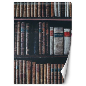 Fototapeta Biblioteka książek 200x280