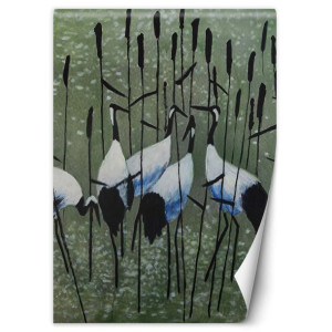 Fototapeta Czaple na łące 150x210