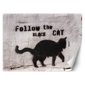 Fototapeta Czarny kot - follow the black cat, beton 150x105