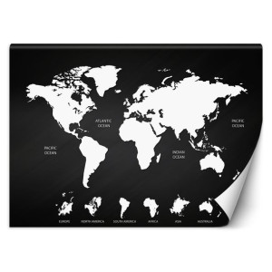 Fototapeta Czarno biała mapa świata 368x254