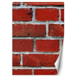 Fototapeta Czerwona cegła z bliska 200x280
