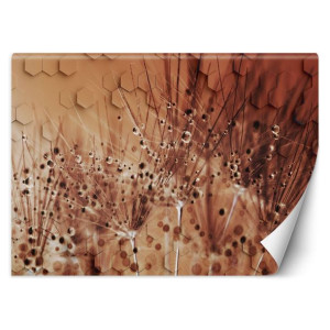 Fototapeta Dmuchawce w kroplach rosy 300x210