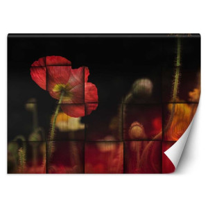 Fototapeta Czerwony kwiat maku 350x245